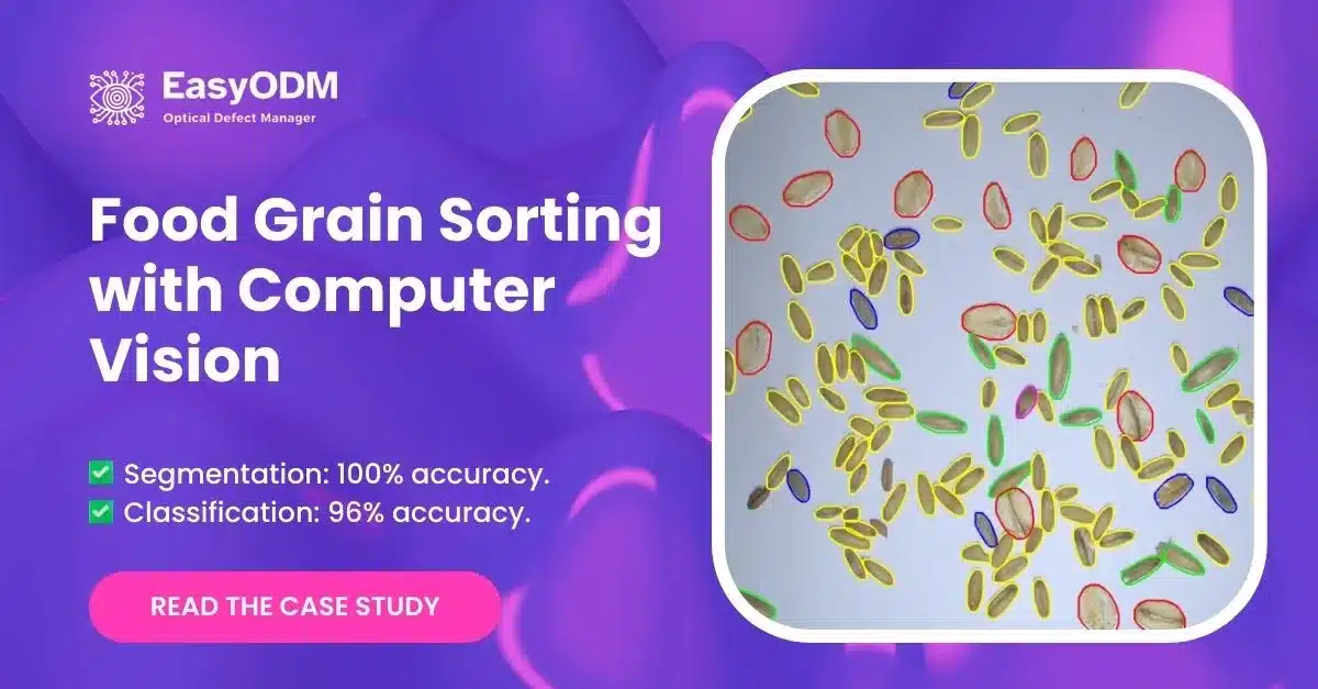 Food Grain Sorting With Computer Vision: Case Study