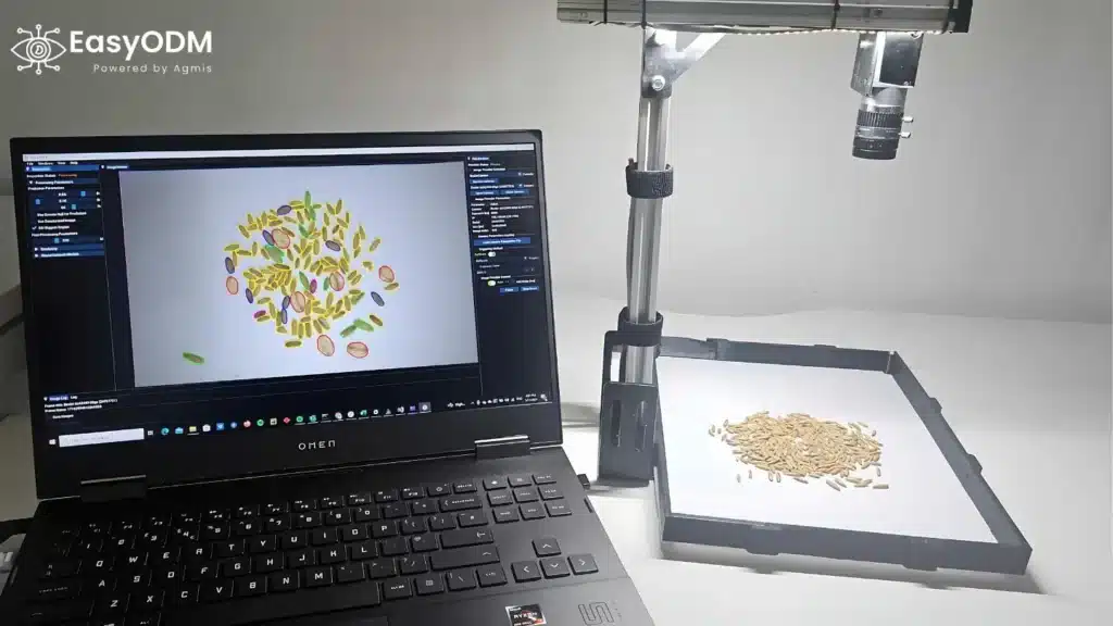 Grain sample analysis with AI technology