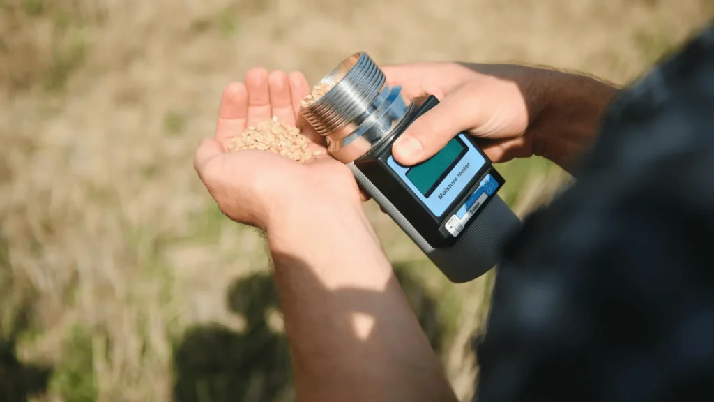 Grain moisture analysis