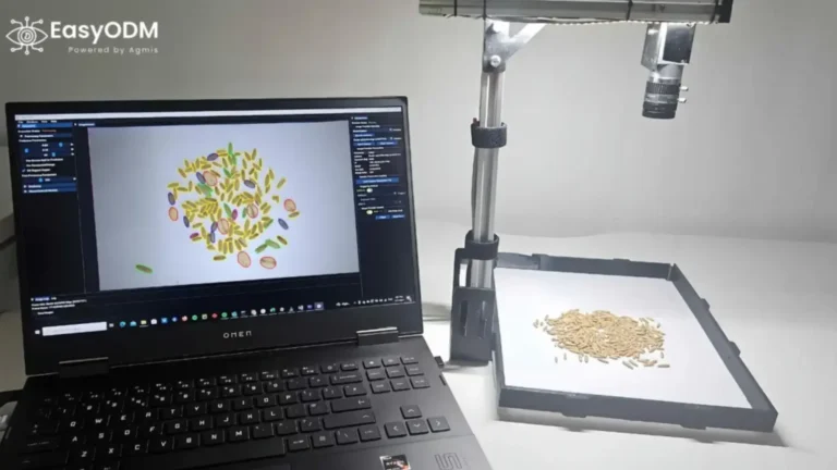 Grain sample detecting grain impurities, defects