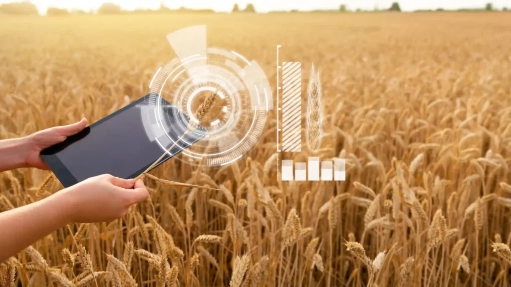 Grain quality optimization with AI predictive analytics for better yield and grain price