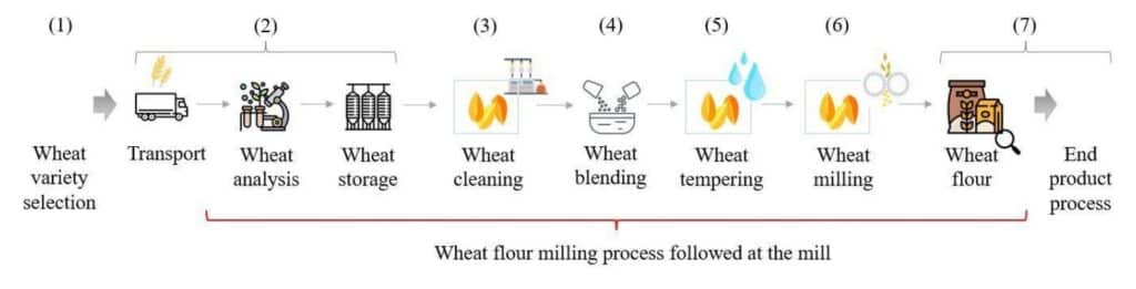 Wheat flour milling process happening at flour mills