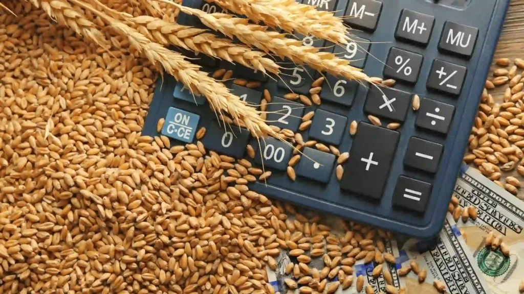 importance of grain quality testing