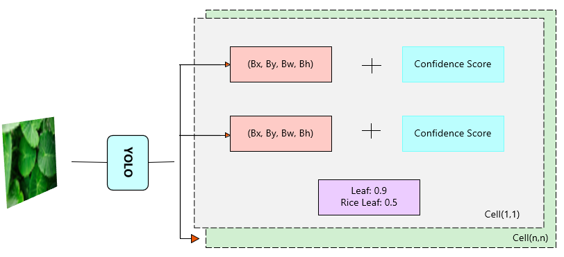 Why use YOLO object detection? 3 YOLO object detection for plant disease