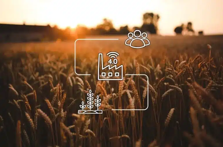 traceability in agriculture with AI solutions