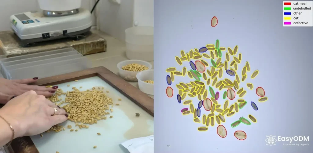 GrainODM 30 min vs 1 min GrainODM 30 min vs 1 min