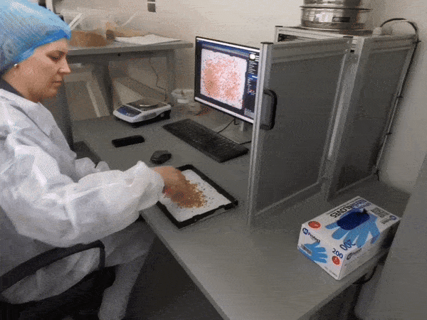 Grainmore success story UAB Grainmore success story